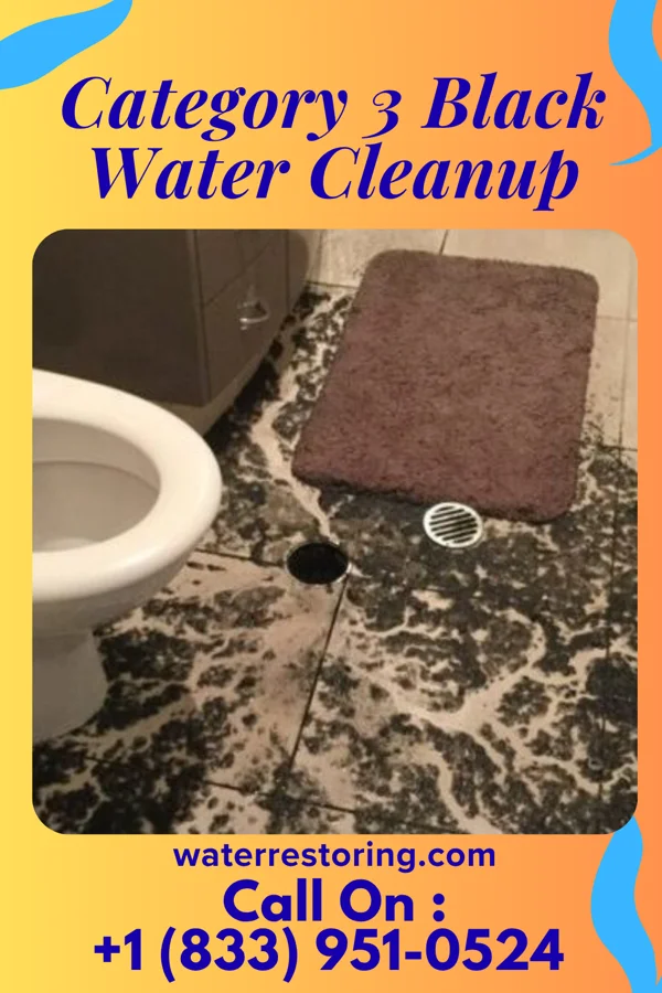Category 3 Black Water Cleanup in Vermillion, SD